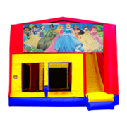 Disney Princess Combination Unit Disney Princess Combination Unit